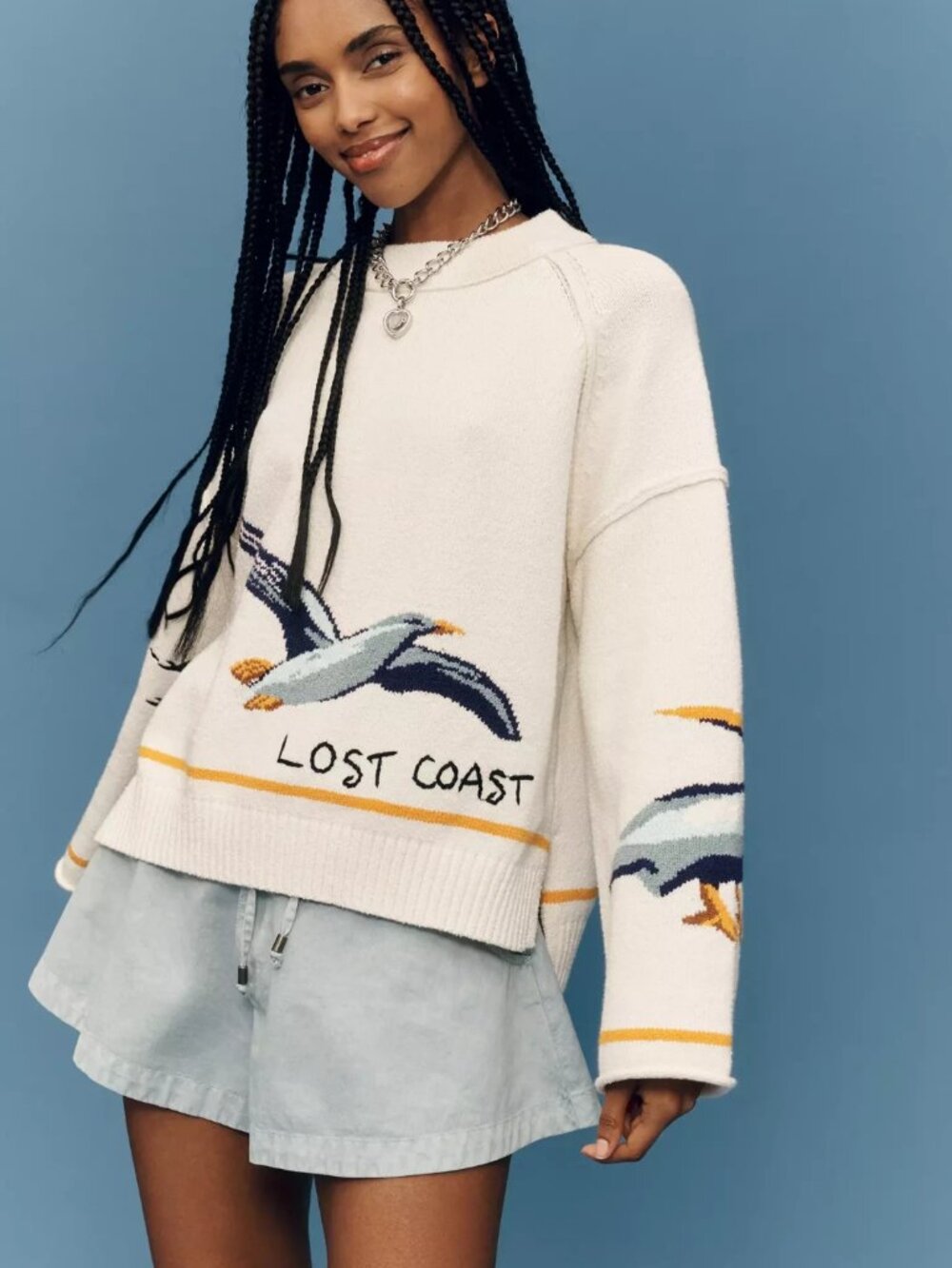 Anthropologie Pilcro Lost Coast Long-Sleeve Crew-Neck Sweater Seagulls S NWT